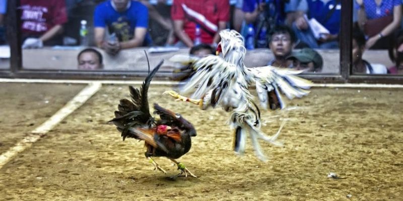 j88 day ﻿đăng nhập lô đề uy tín