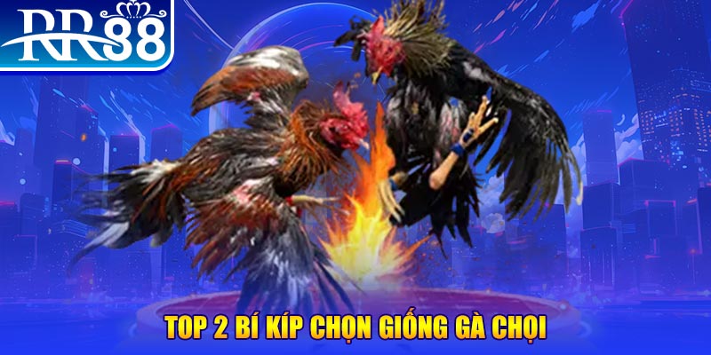 j88 day bắn cá h5