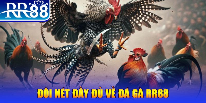 j88 day gà chọi hoà phong