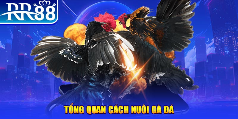 j88 day xổ số thứ ba
