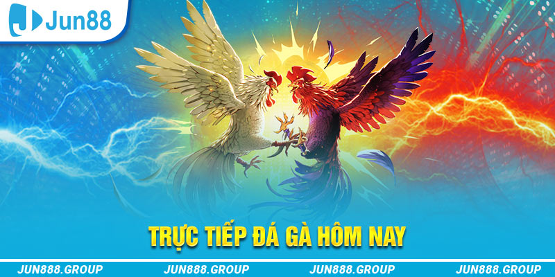 j88 day trực tiếp đá gà thomo