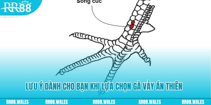 j88 day xổ số khánh hòa