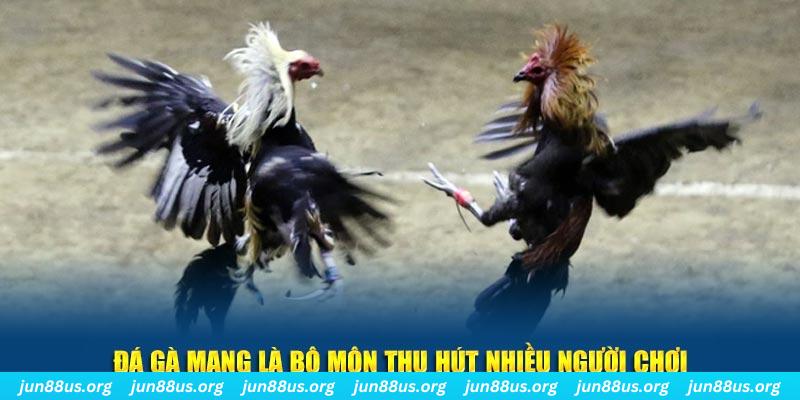 j88 day xổ số long an
