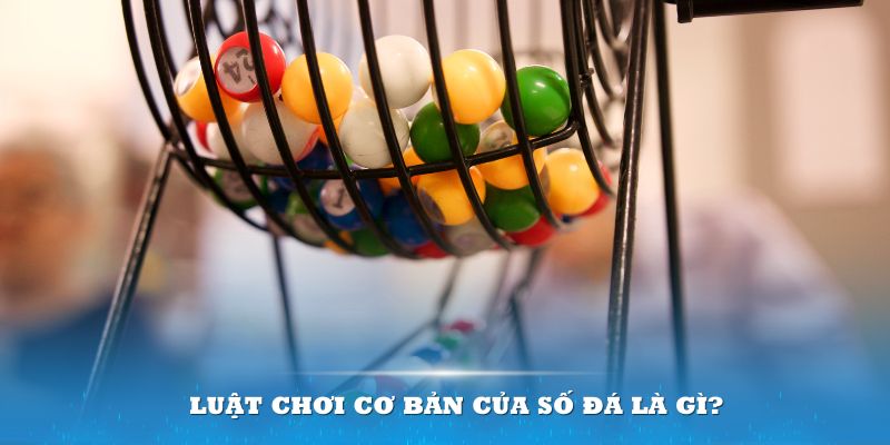 j88 day Đĩa màu ace