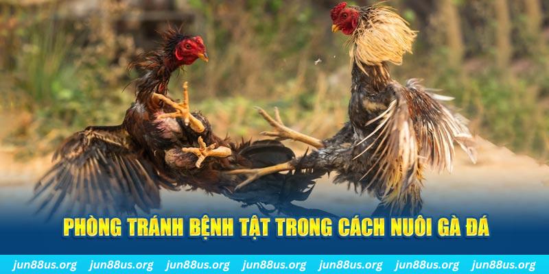 j88 day natural” trong baccarat nghĩa là gì？