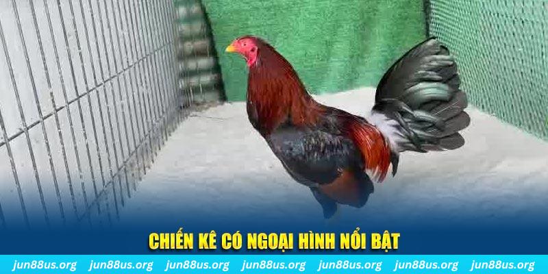 j88 day nhạc slot là gì